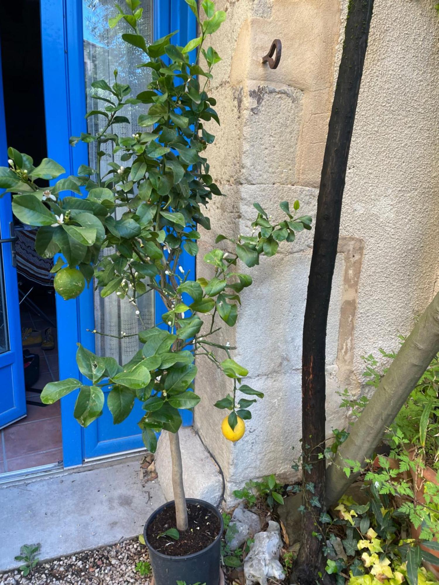 Appartement Cosy Malaucène المظهر الخارجي الصورة
